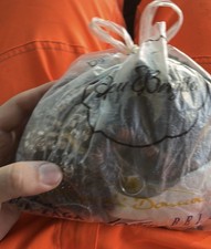 mis.box con anelli,orecchini,bracciali e collane varie