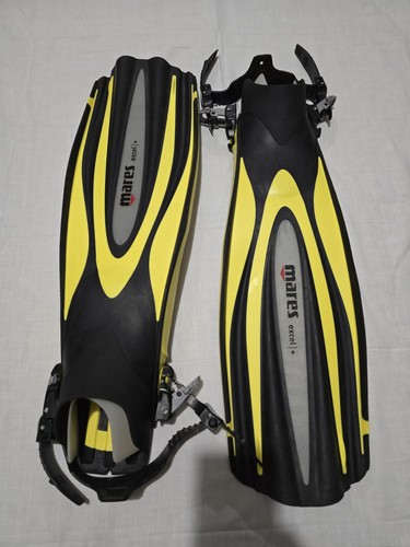 Pinne sub mares - da,