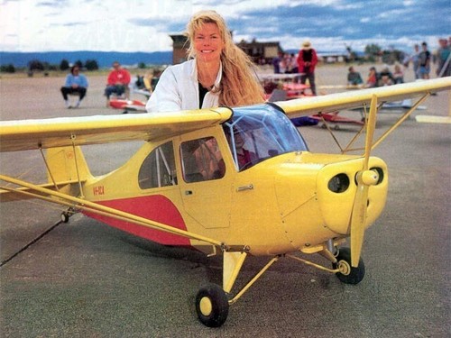 Aeronca champion scala gigante - champion,