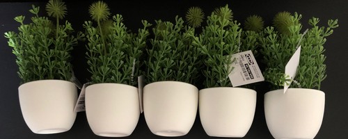 Ikea new fejka - fejka, pianta