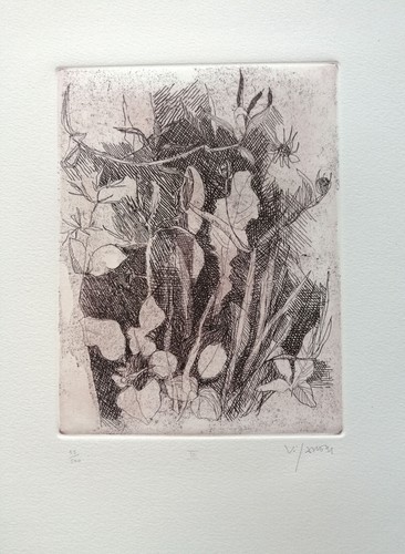 Antonietta viganone erbe - viganone, "erbe"