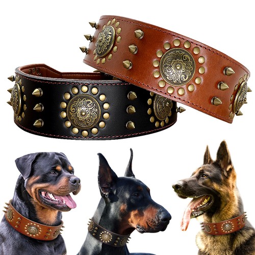 Collare per cane cuoio - cane,