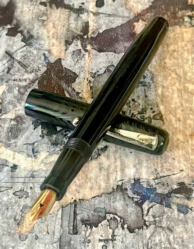 Swan 100 black 14k fine - 100/60,