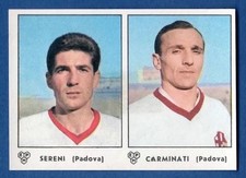 FIGURINA CALCIATORI PANINI