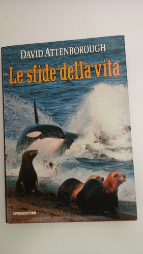 Sfide della vita david - vita,