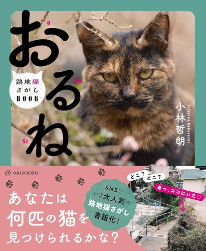 Orune alley cat search book - -,