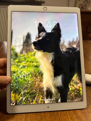 Ipad pro seconda - ipad, 12,9
