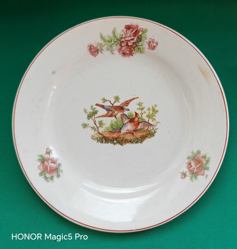 Florio ceramica piatto piano - ceramica/piatto,