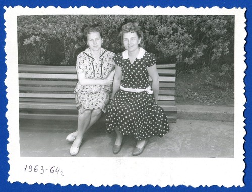 Bellissime belle ragazze donne