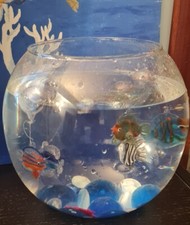 Pesci piccoli di Murano  con boccia e ciotoli per Acquario compresi 