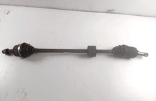 51934090 Semialbero ant