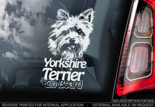 Yorkshire terrier car window - -,