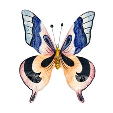 BASSANO CERAMICA DECORAZIONE