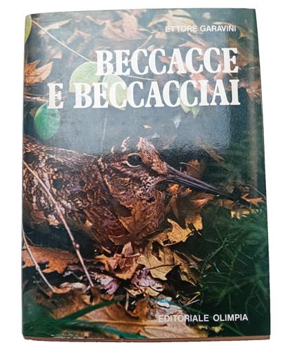 Ettore garavini beccacce - ettore, e