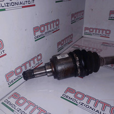 46308260 Semialbero ant