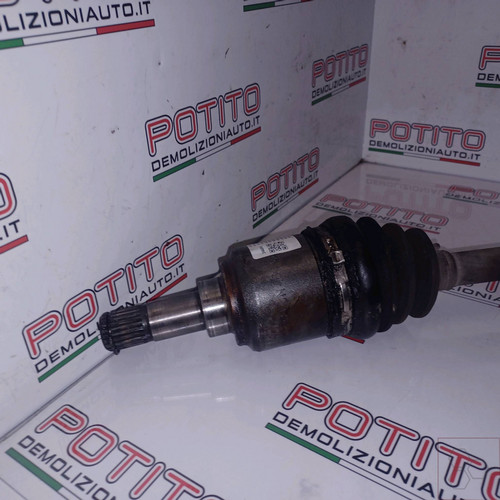 46308260 semialbero ant - semialbero,