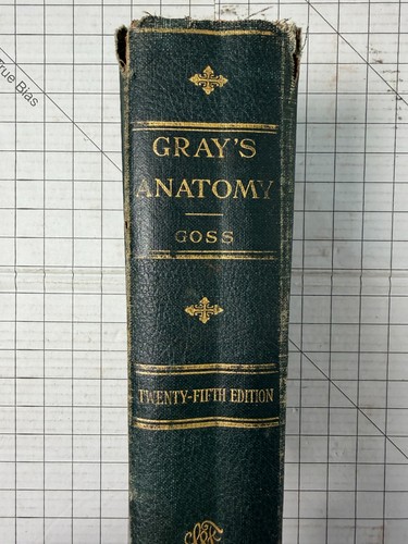Gray anatomy the human - of,