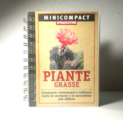 Piante grasse cactacee - piante,