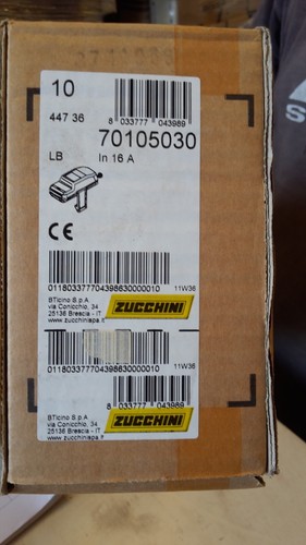 Zucchini 70105030 spina - -,