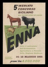 5°MERCATO CONCORSO SICILIANO per bovini ovini ed equini ENNA 1955