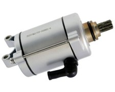 Démarreur SCORPEX Bashan