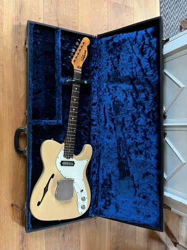Shaftesbury chitarra vintage