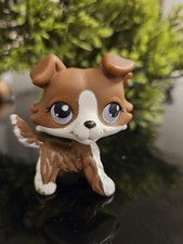 ✨️Littlest Pet Shop LPS