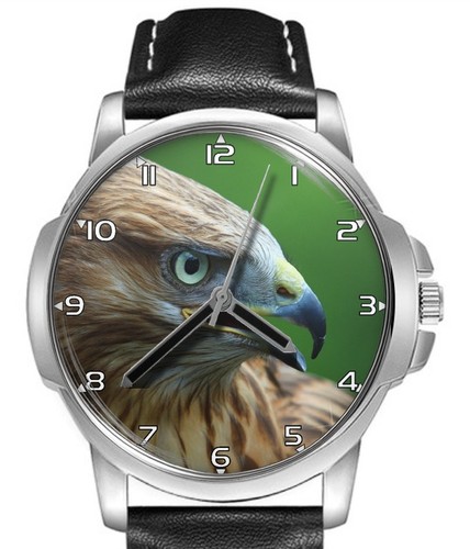 Orologio polso falco - polso, uccelli