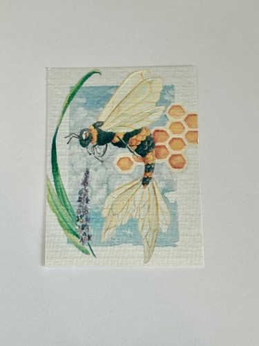Mer bee assurdity series - mer, #1