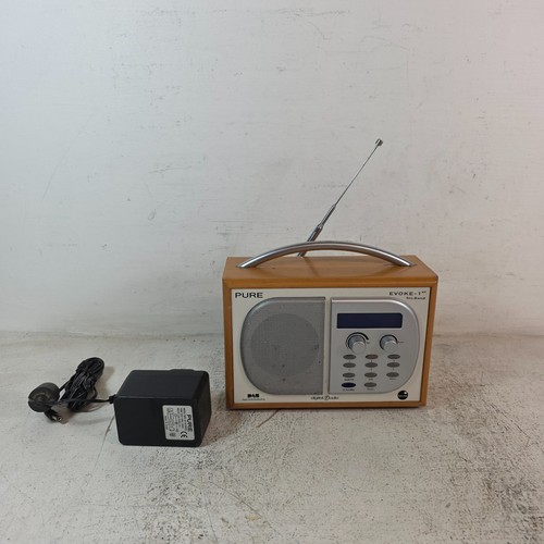 Radio portatile pure evoke - radio,