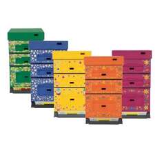 Arnia 10 favi POLISTIRENE con doppio melario Dadant verniciata e stampata - v...