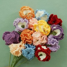 Delicato Garofano Fiori