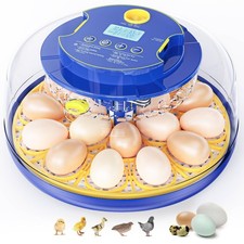 Incubadora De Dieciocho Huevos