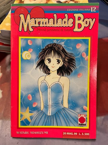 Marmalade boy manga - boy,
