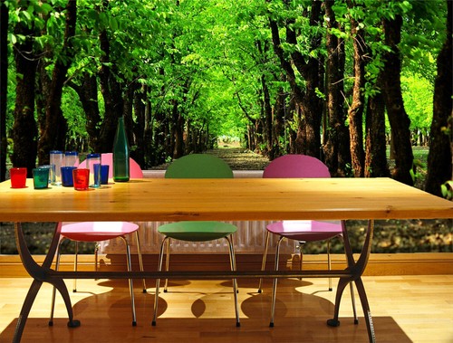 Carta parati foreste - carta, da