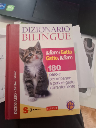 Libro dizionario bilingue - dizionario,