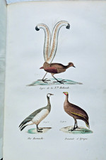 Buffon Storia Naturale Raccontata Alla Gioventù O Esposizione Degli Insetti