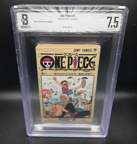 Bgs one piece - one,