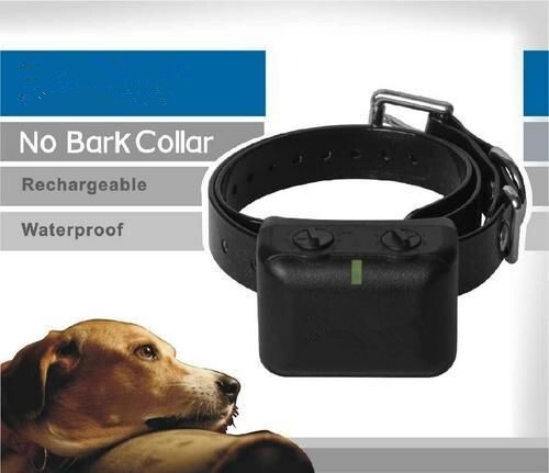 Cane collare antiabbaio - cane,