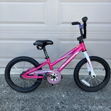 Bicicletta bicicletta