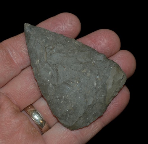 Covington blade coryell - coryell, co