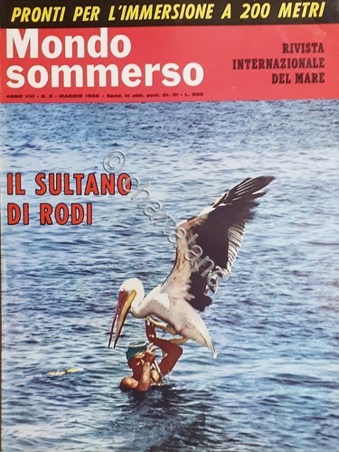 Rivista internazionale del - rivista,