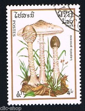 FLORA E FAUNA 1 FRANCOBOLLO FUNGHI LAO LEPIOTA PROCERA timbrato