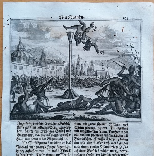 America nuova spagna - nuova,