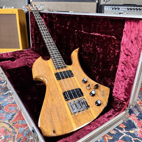 Rich mockingbird basso usa - mockingbird,