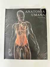 Libro Anatomia Umana Martini