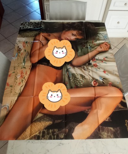 Megaposter playboy lingerie - playboy,