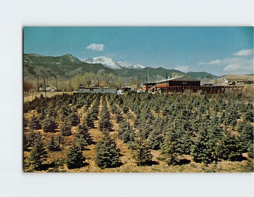 Cartolina rick country - cartolina, rick's