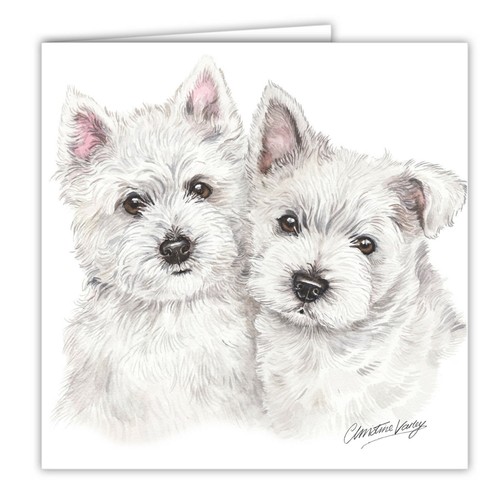 West highland terrier - west, cuccioli