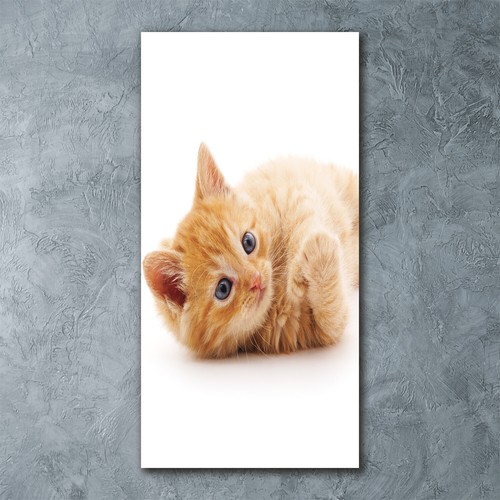 Tulup stampa vetro wall art - stampa,